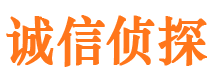 武进侦探公司